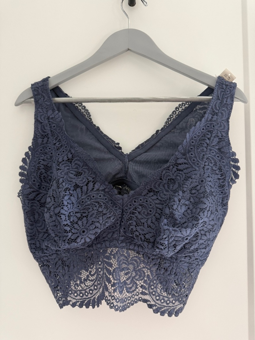 Aeri Cornflower Blue Lace Bra XL NWT